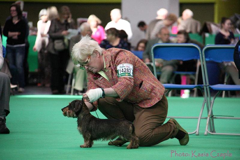 Crufts2011_2 826.jpg